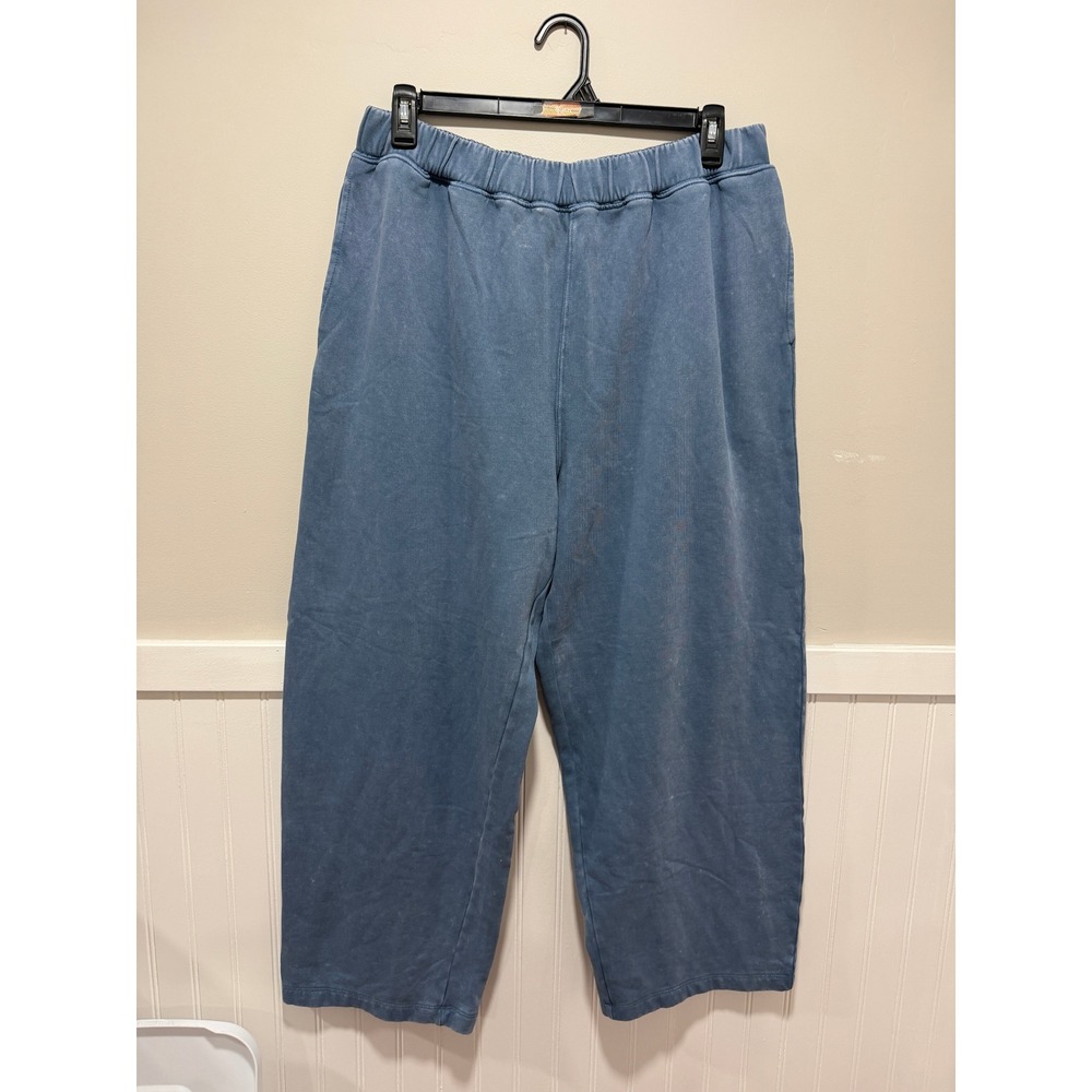 American Eagle Wide Leg Sweatpants Faded Pull On Cozy Blue Women Size Large NWT